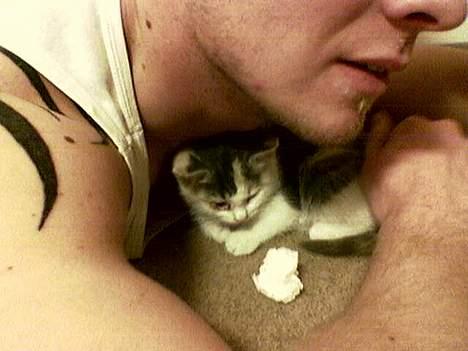 Huskat Mille - Trykhed hos far billede 2