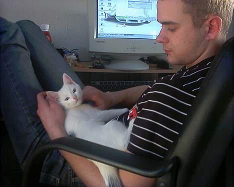 Blanding af racer Lotus R.I.P billede 16