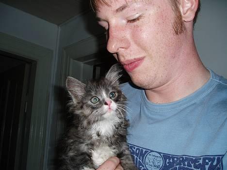 Blanding af racer Felix - R.I.P november 2010 - Billedet her er taget den dag vi fik ham med hjem! billede 15