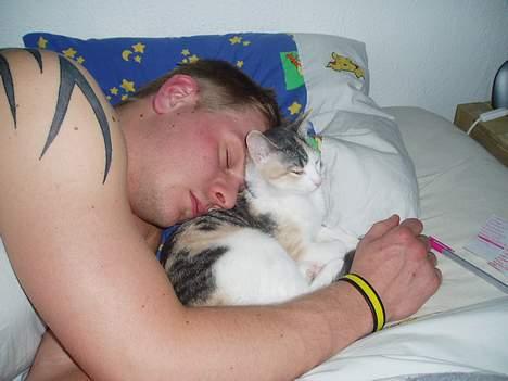 Huskat Mille - Putte missen. billede 8