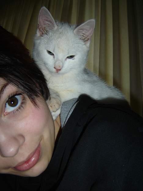 Huskat Marie - Det er så hyggeligt at ligge her billede 3