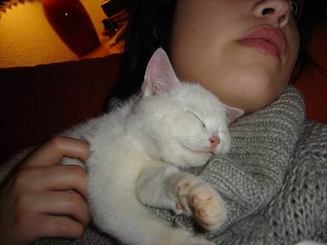 Huskat Marie - mmmm, putte putte billede 13