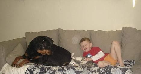 Huskat Katpige født. 21 / 6 - 05 - Cherrie, mig og Lucas.. billede 13