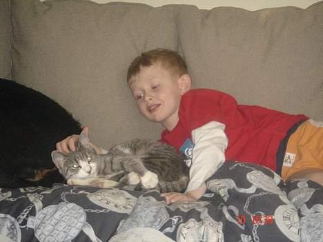 Huskat Katpige født. 21 / 6 - 05 - Uhh, det er dejligt.. billede 14