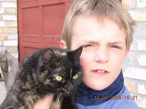 Blanding af racer nusser#død# - nusser og hendes ejer billede 4