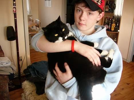 Blanding af racer Ballu billede 9