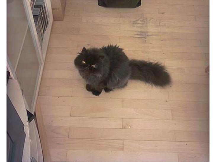 {{currentPhoto.altText}} billede {{currentPhoto.number}}