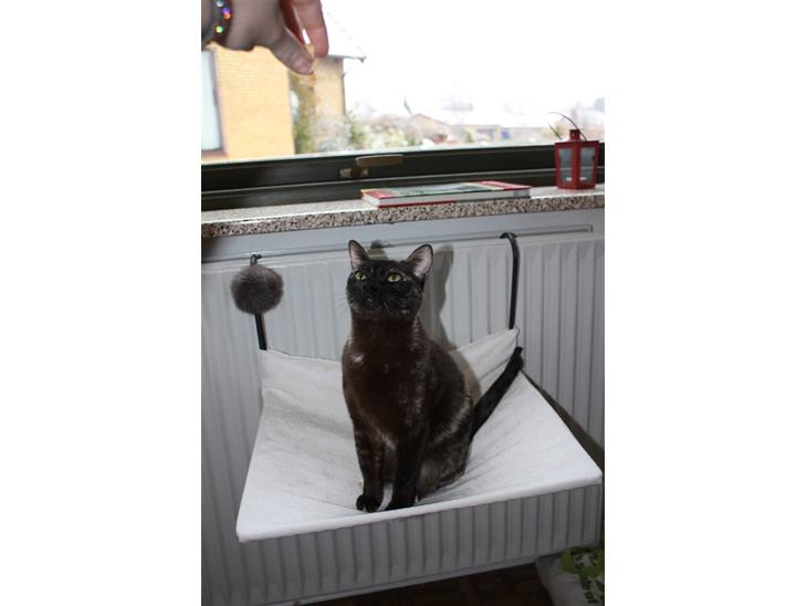 {{currentPhoto.altText}} billede {{currentPhoto.number}}