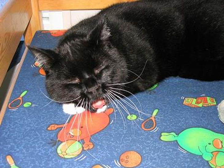 {{currentPhoto.altText}} billede {{currentPhoto.number}}