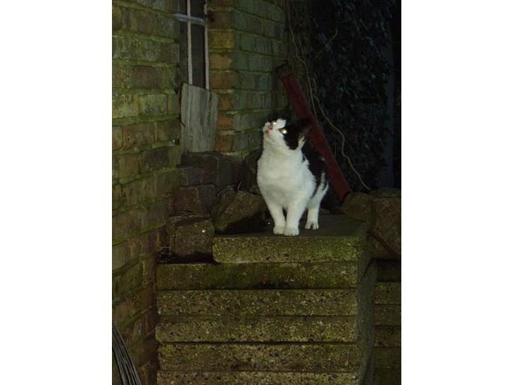 {{currentPhoto.altText}} billede {{currentPhoto.number}}