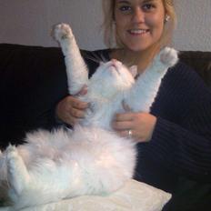 Blanding af racer Happy