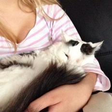 Blanding af racer Happy