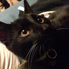 Huskat Jakob † R.I.P †