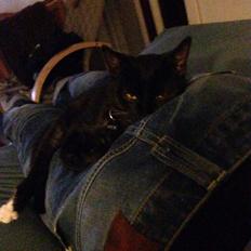 Huskat Jakob † R.I.P †