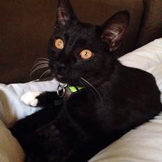 Huskat Jakob † R.I.P †