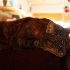 Huskat Sprutty aka Muddi