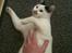Huskat Mulle