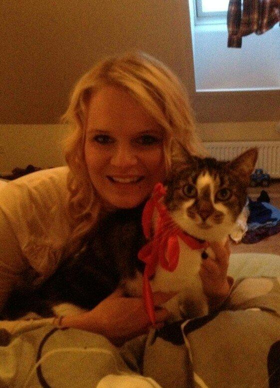 Huskat Elvis billede 8