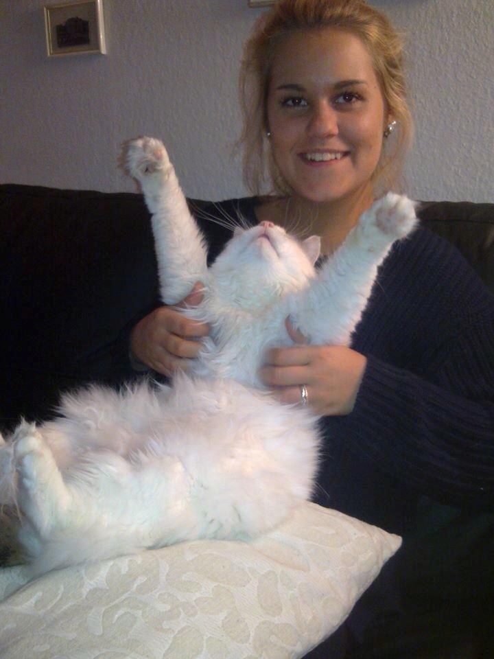 Blanding af racer Happy billede 2