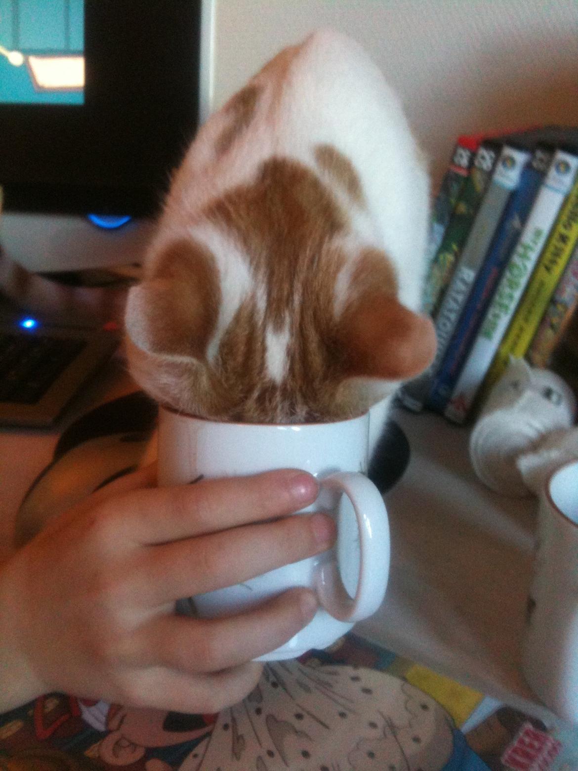 Huskat Pjevs billede 17