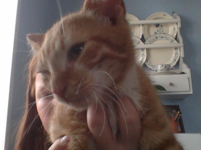 Huskat Garfild - Farvel håber du synes og Garfilds profil;) billede 9