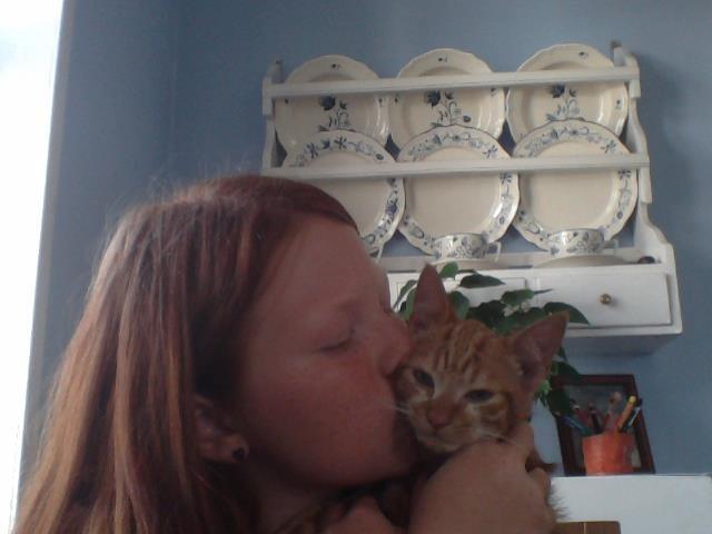 Huskat Garfild - Myys<3 billede 5