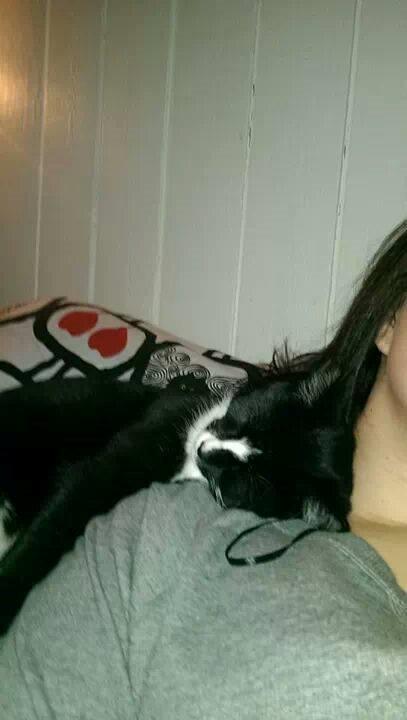 Huskat LilleMis (MadsHerman)<3 billede 5