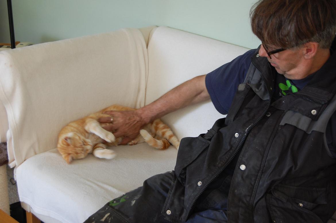 Huskat rosa billede 7