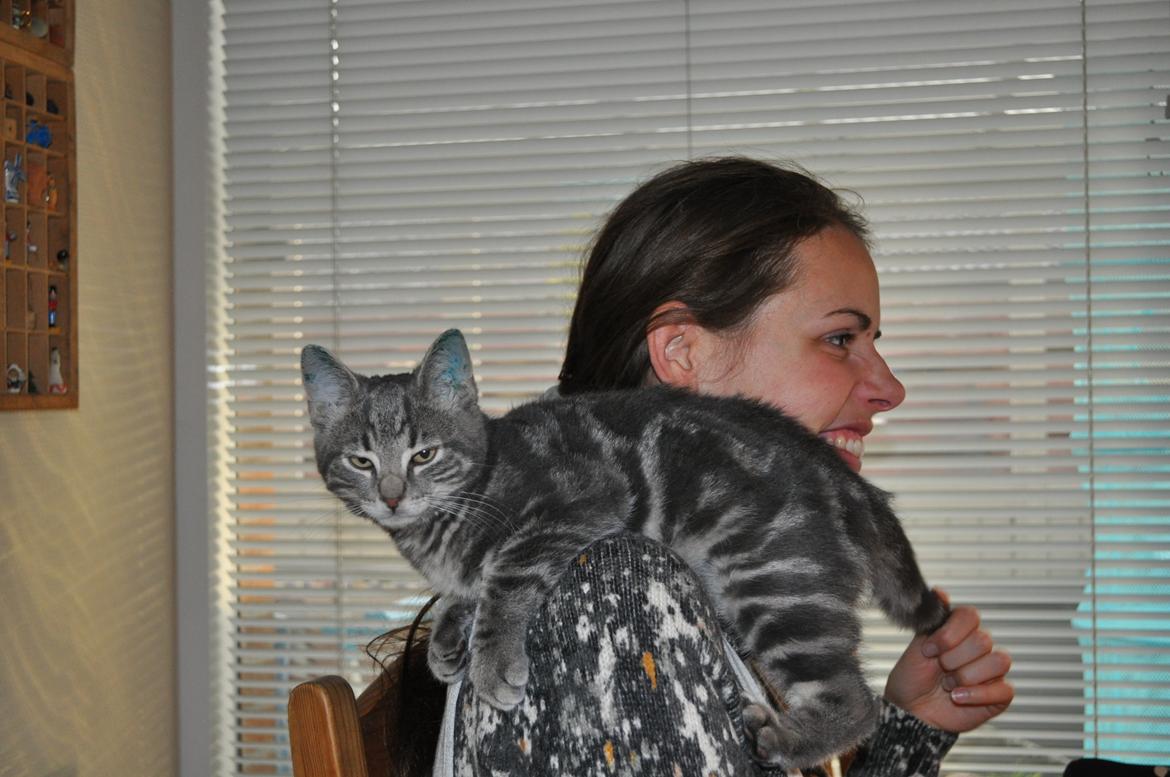 Huskat Modi 2013-2016 billede 23