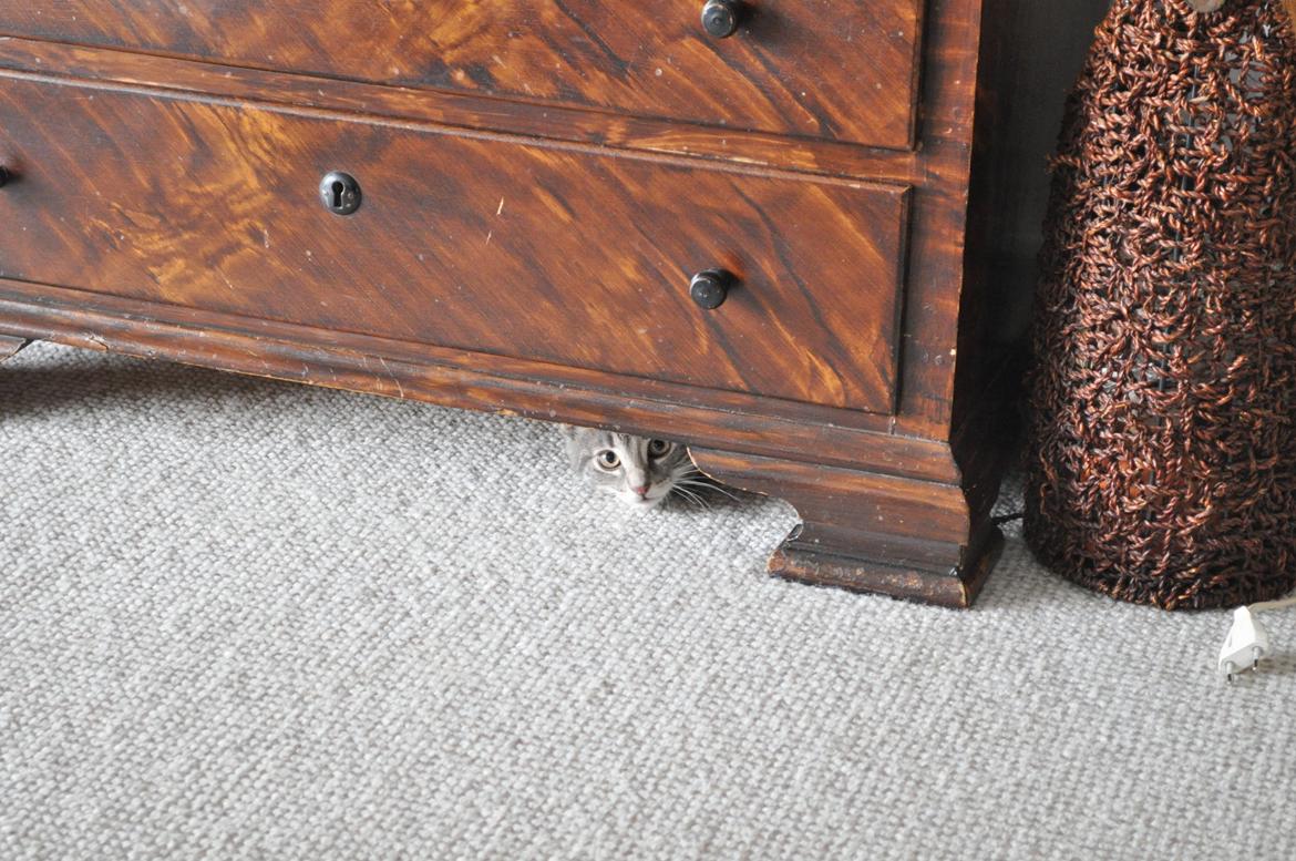 Huskat Modi 2013-2016 billede 22