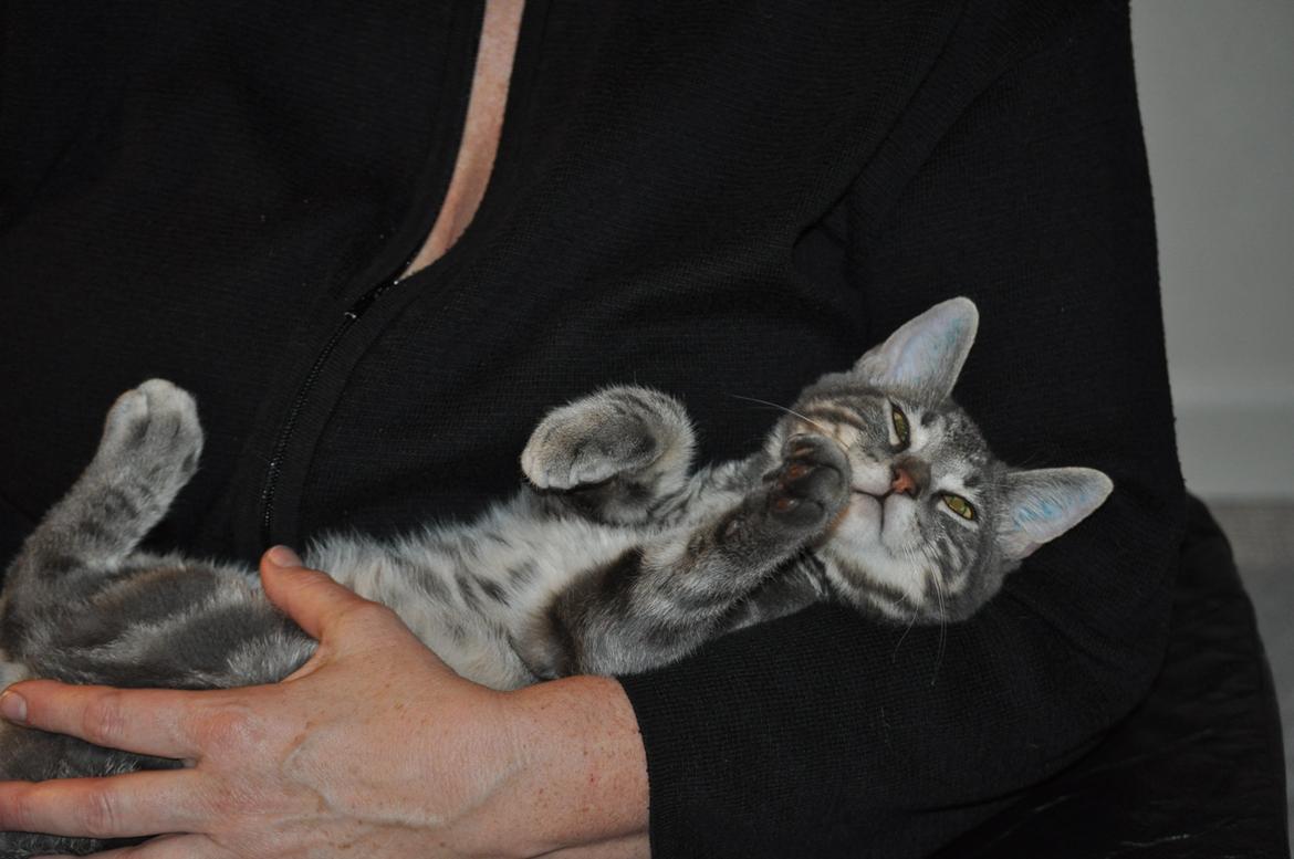 Huskat Modi 2013-2016 billede 45