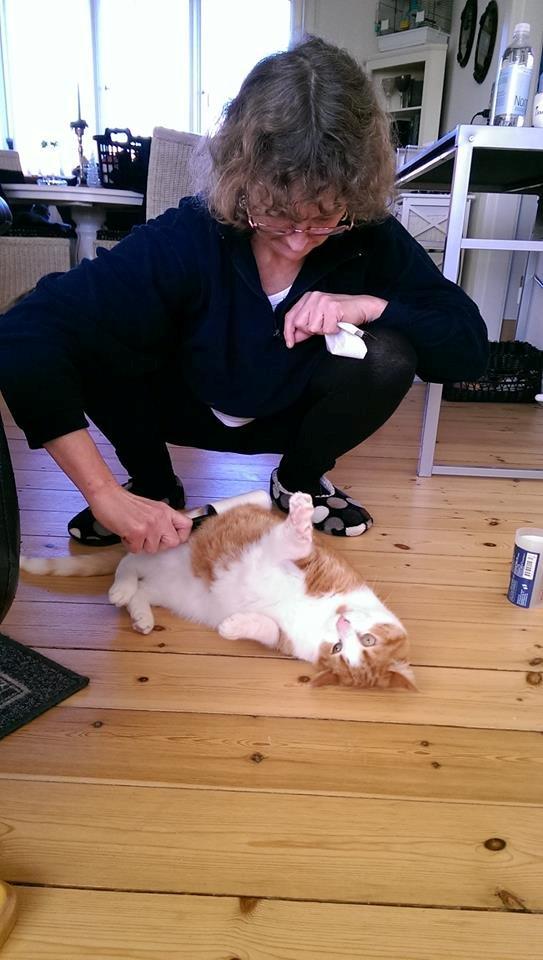 Huskat Möllermaus (Möllermilch) billede 6