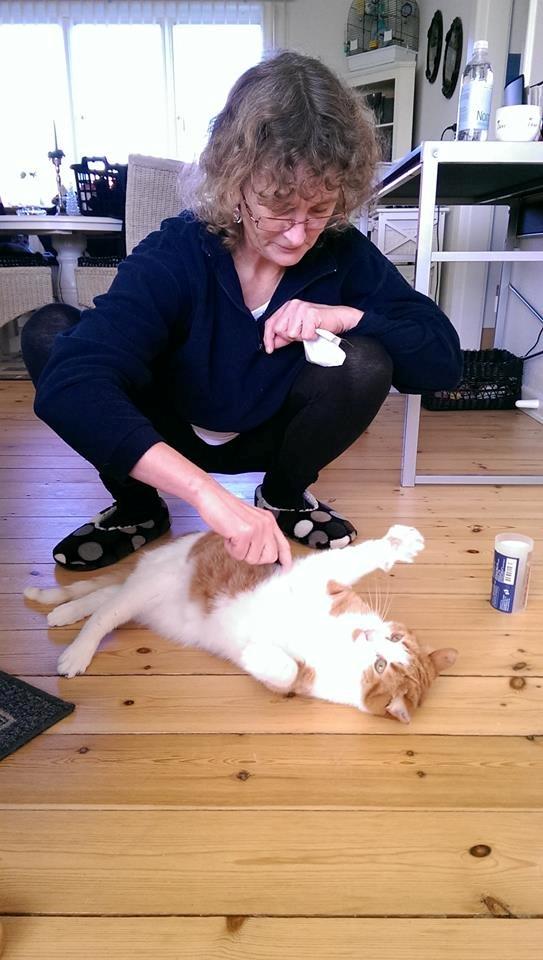 Huskat Möllermaus (Möllermilch) billede 8