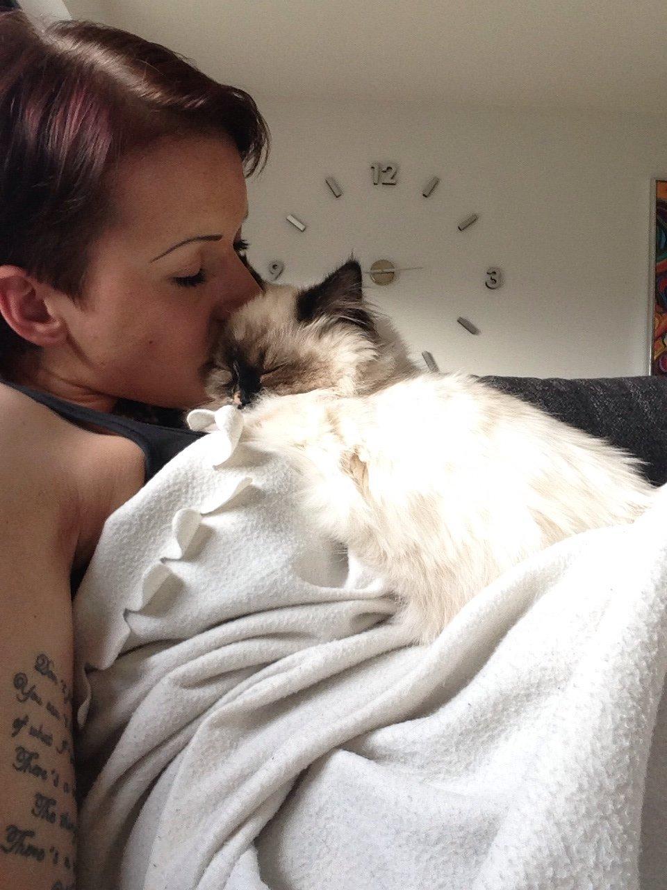 Blanding af racer Kira billede 15