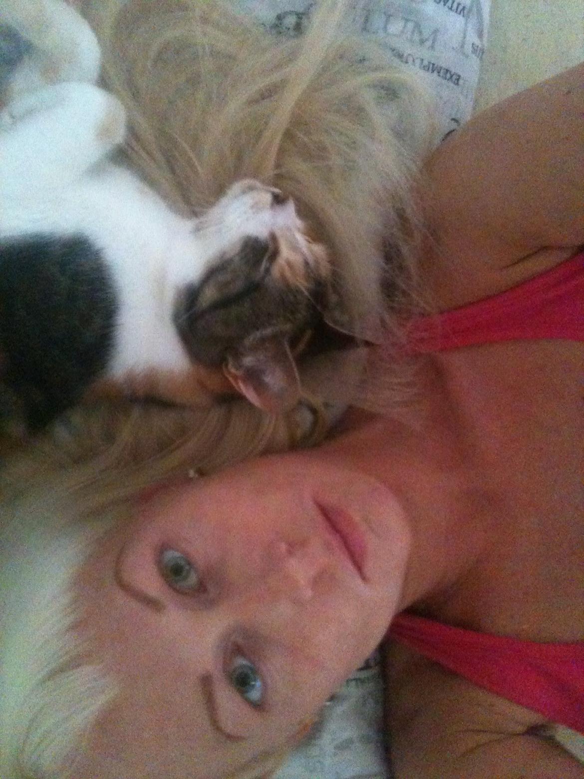 Huskat Duchees billede 11