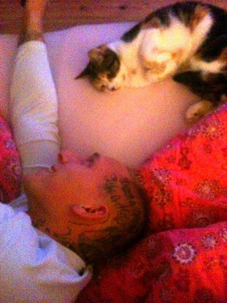 Huskat Duchees billede 14