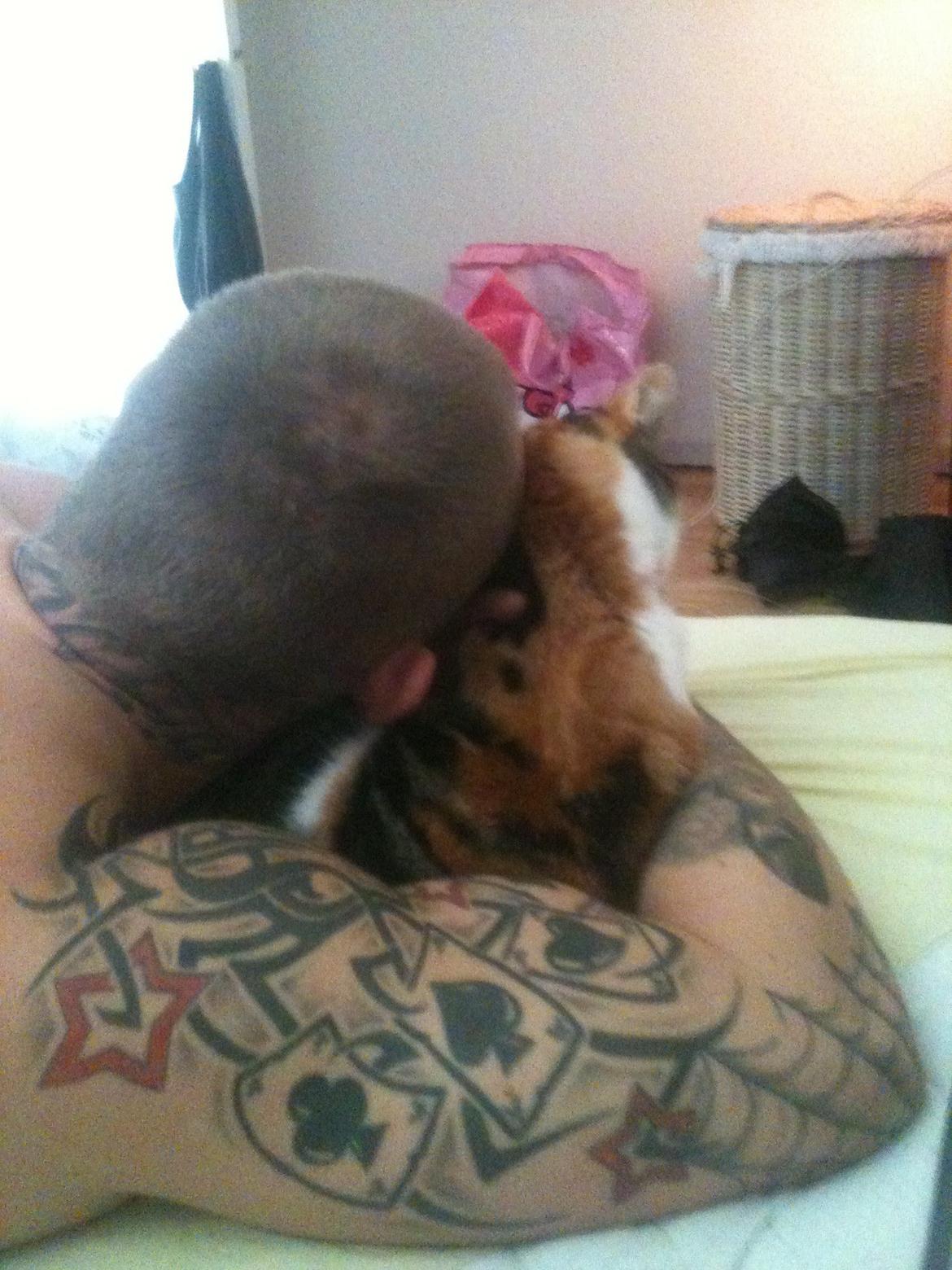 Huskat Duchees billede 17