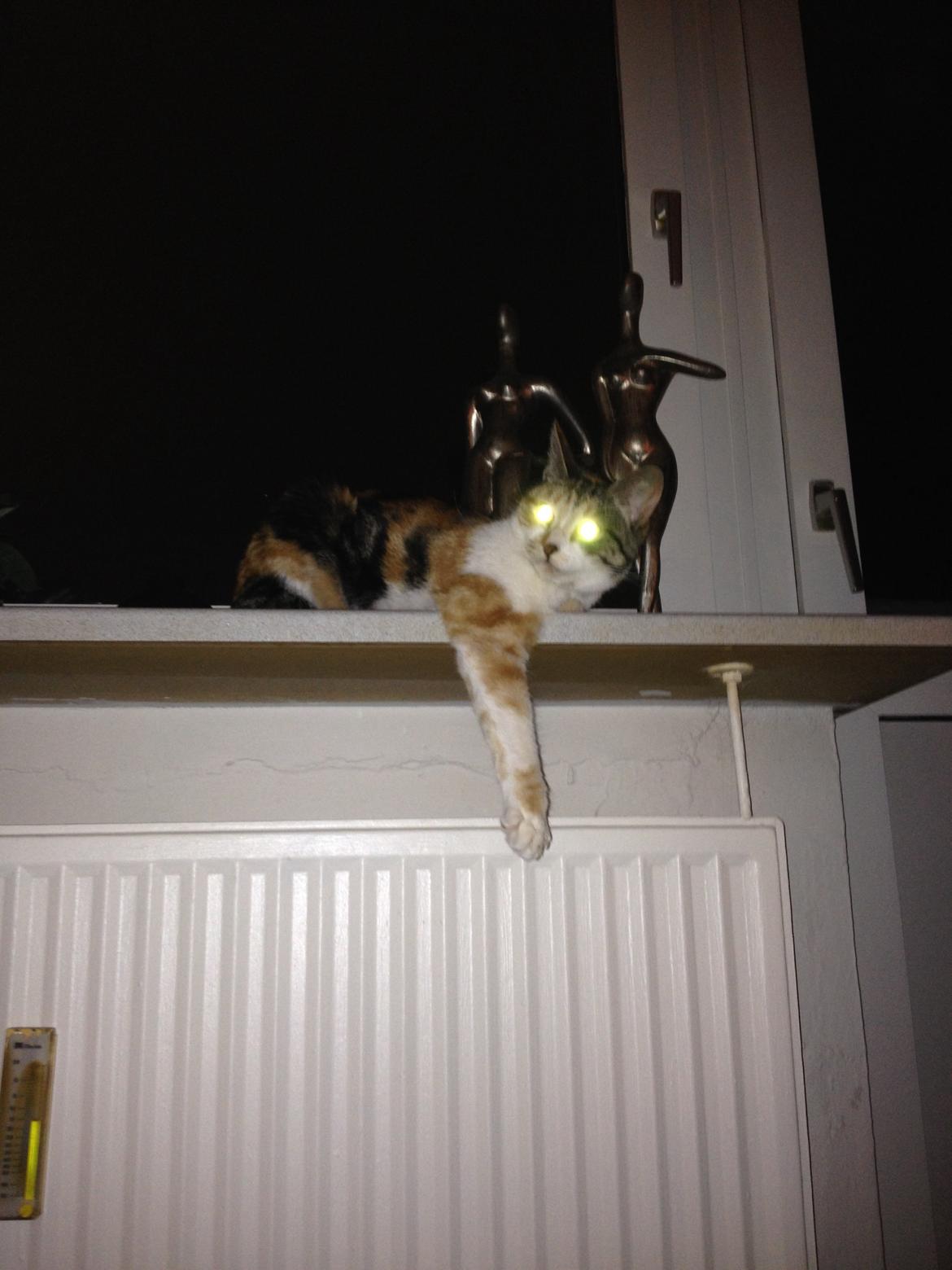 Huskat Duchees billede 30