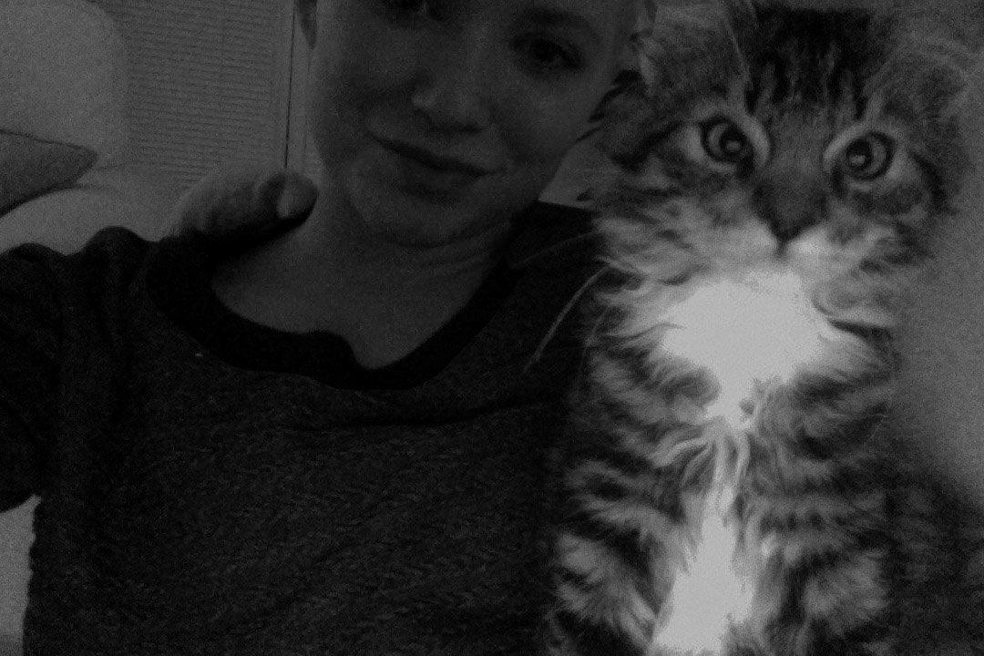 Blanding af racer Albert billede 8