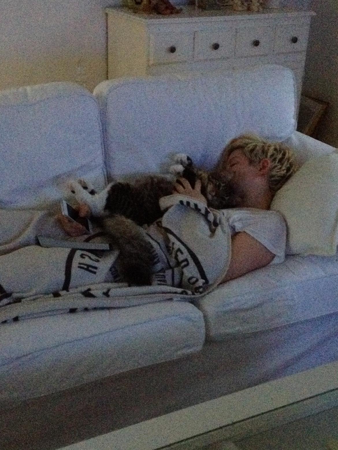 Blanding af racer Albert billede 12