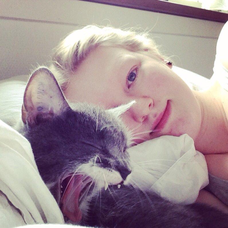 Huskat Moustach katten Kira billede 4