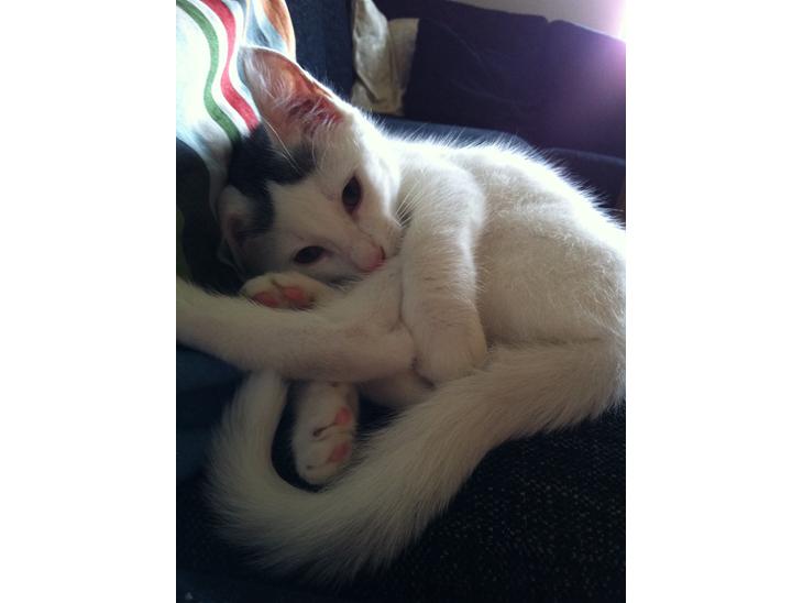 {{currentPhoto.altText}} billede {{currentPhoto.number}}