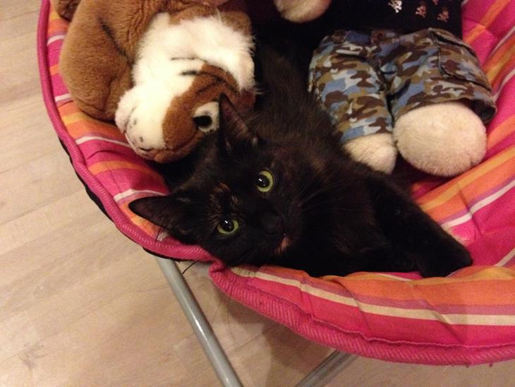 {{currentPhoto.altText}} billede {{currentPhoto.number}}