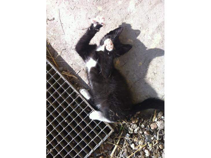 {{currentPhoto.altText}} billede {{currentPhoto.number}}