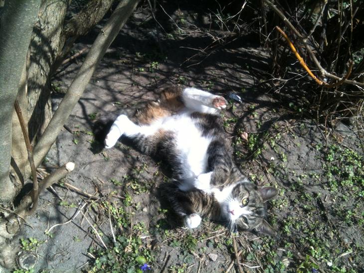 {{currentPhoto.altText}} billede {{currentPhoto.number}}