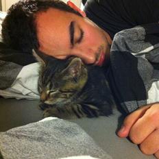 Blanding af racer Bob