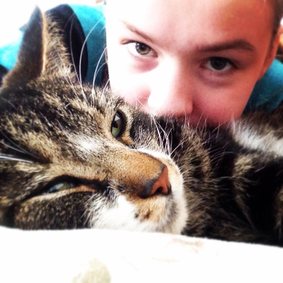 Huskat Turbo billede 14