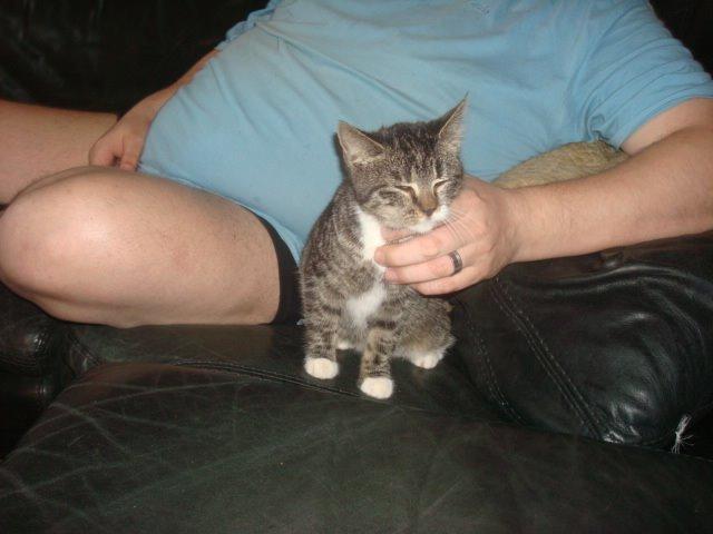 Huskat Sisse billede 6