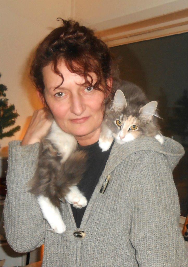 Norsk Skovkat Kira billede 7