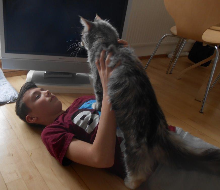 Blanding af racer Chili - 2 x Teen <3  billede 6